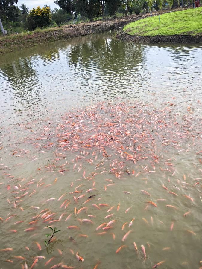 Menam Resort Nakhon Pathom Exteriör bild