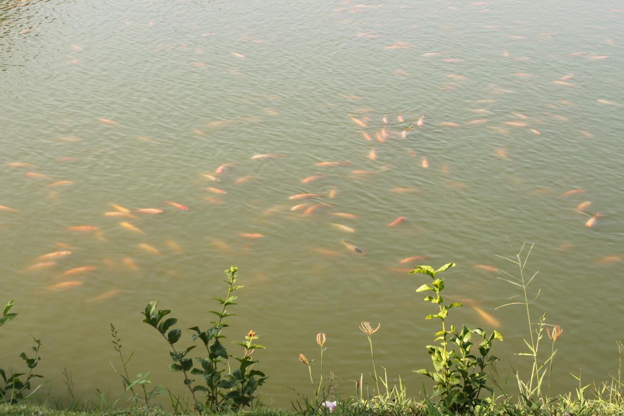 Menam Resort Nakhon Pathom Exteriör bild